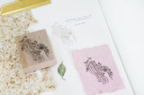 Bloom (March Exclusive Pre-Order)